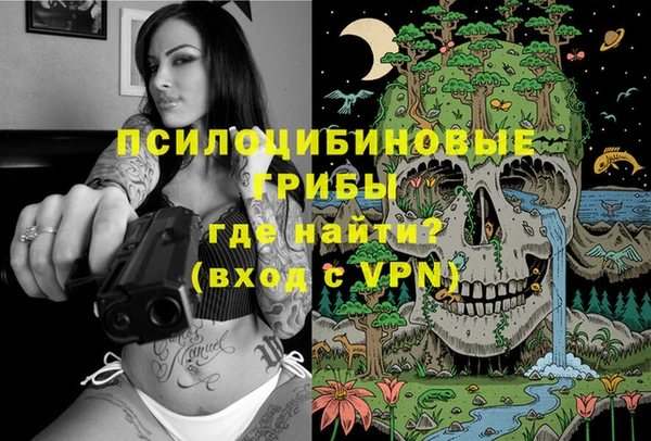 дмт Арсеньев