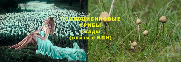 дмт Арсеньев